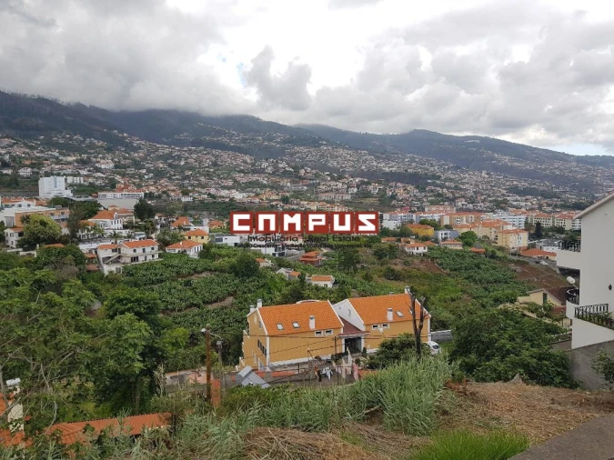 Terreno para Venda em Funchal (Se) Foto 4