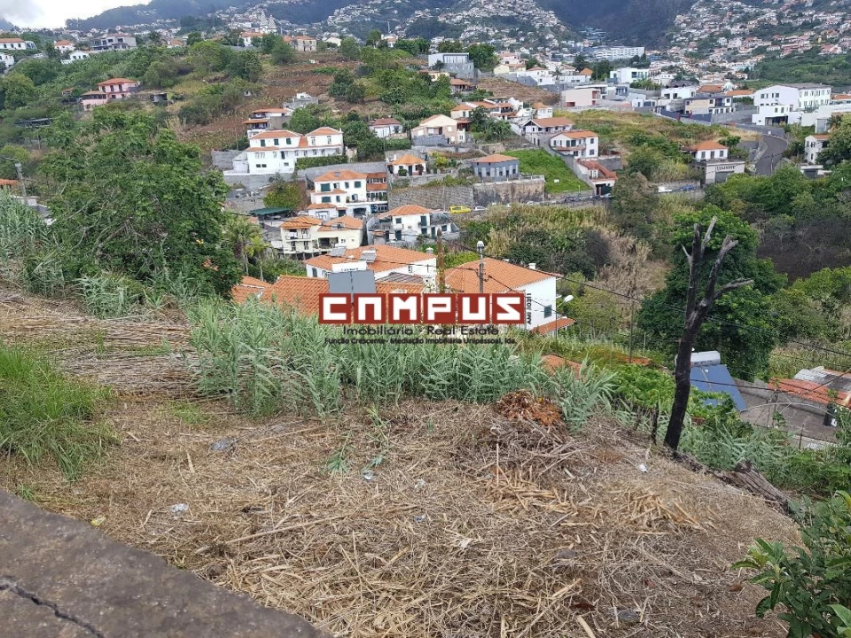 Terreno para Venda em Funchal (Se) Foto 5