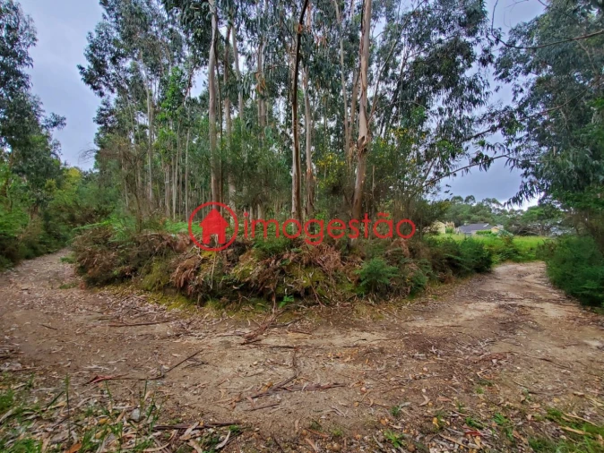 Terreno para Venda em Valença, Cristelo Covo e Arão Foto 1