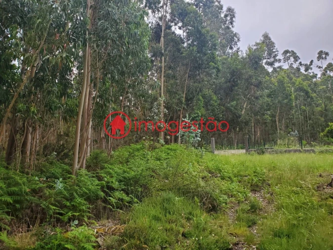 Terreno para Venda em Valença, Cristelo Covo e Arão Foto 4