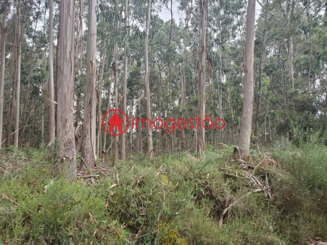 Terreno para Venda em Valença, Cristelo Covo e Arão Foto 5