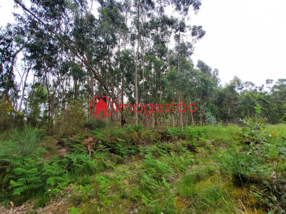 Terreno para Venda em Valença, Cristelo Covo e Arão Foto 7