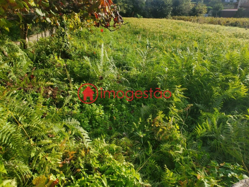 Terreno para Venda em Cornes Foto 3
