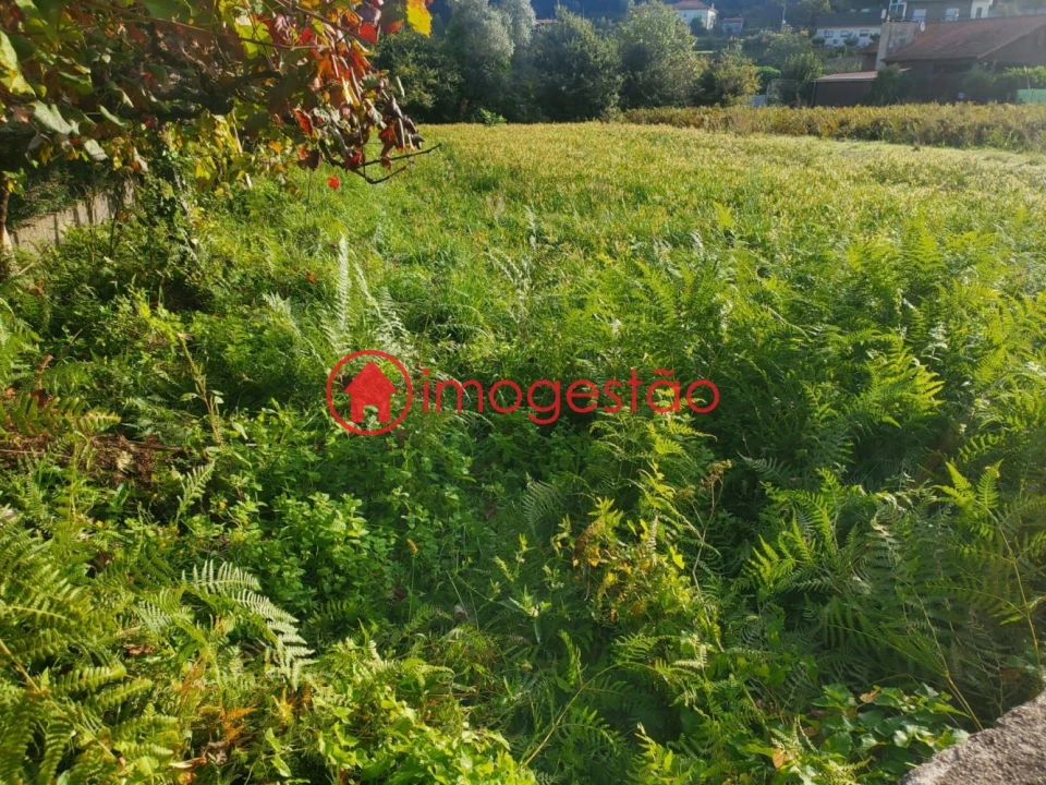 Terreno para Venda em Cornes Foto 6
