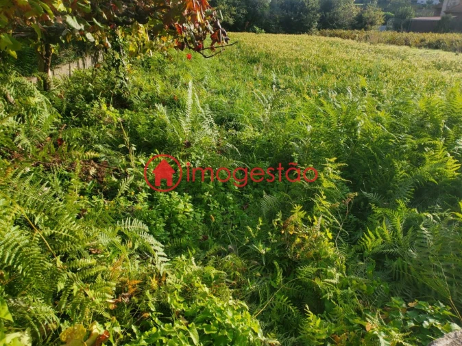 Terreno para Venda em Cornes Foto 3