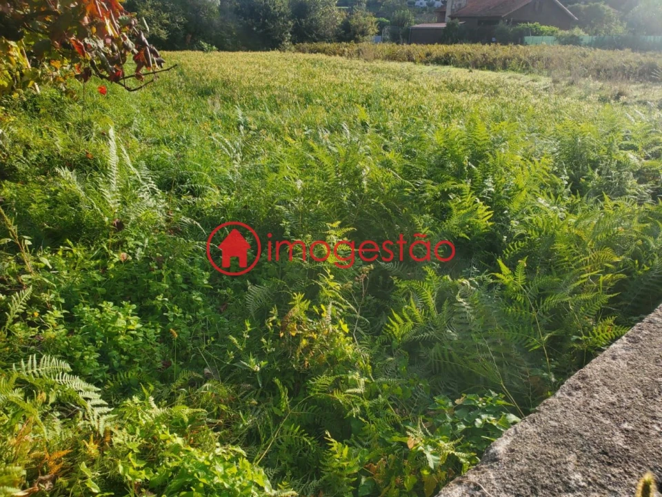 Terreno para Venda em Cornes Foto 1