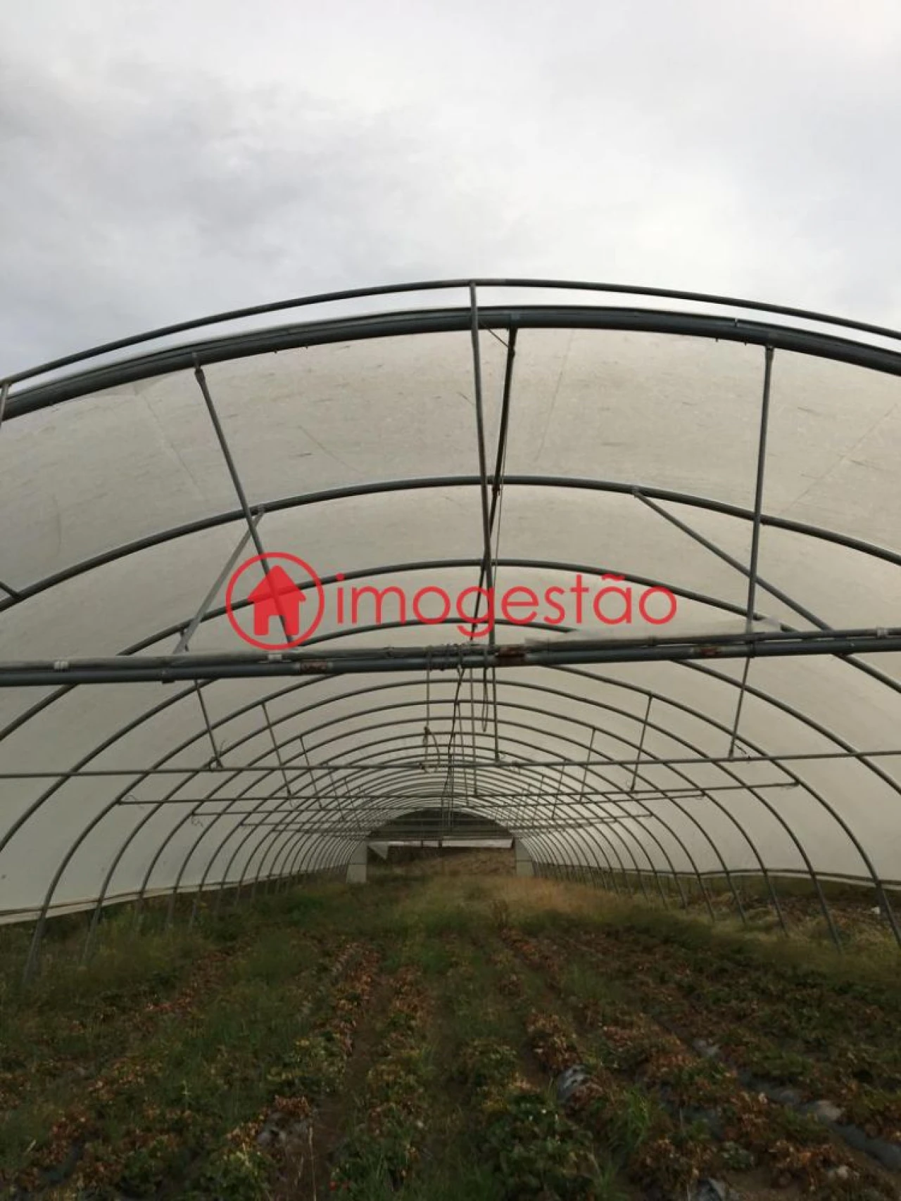 Quinta T0 para Venda em Cerdal Foto 7