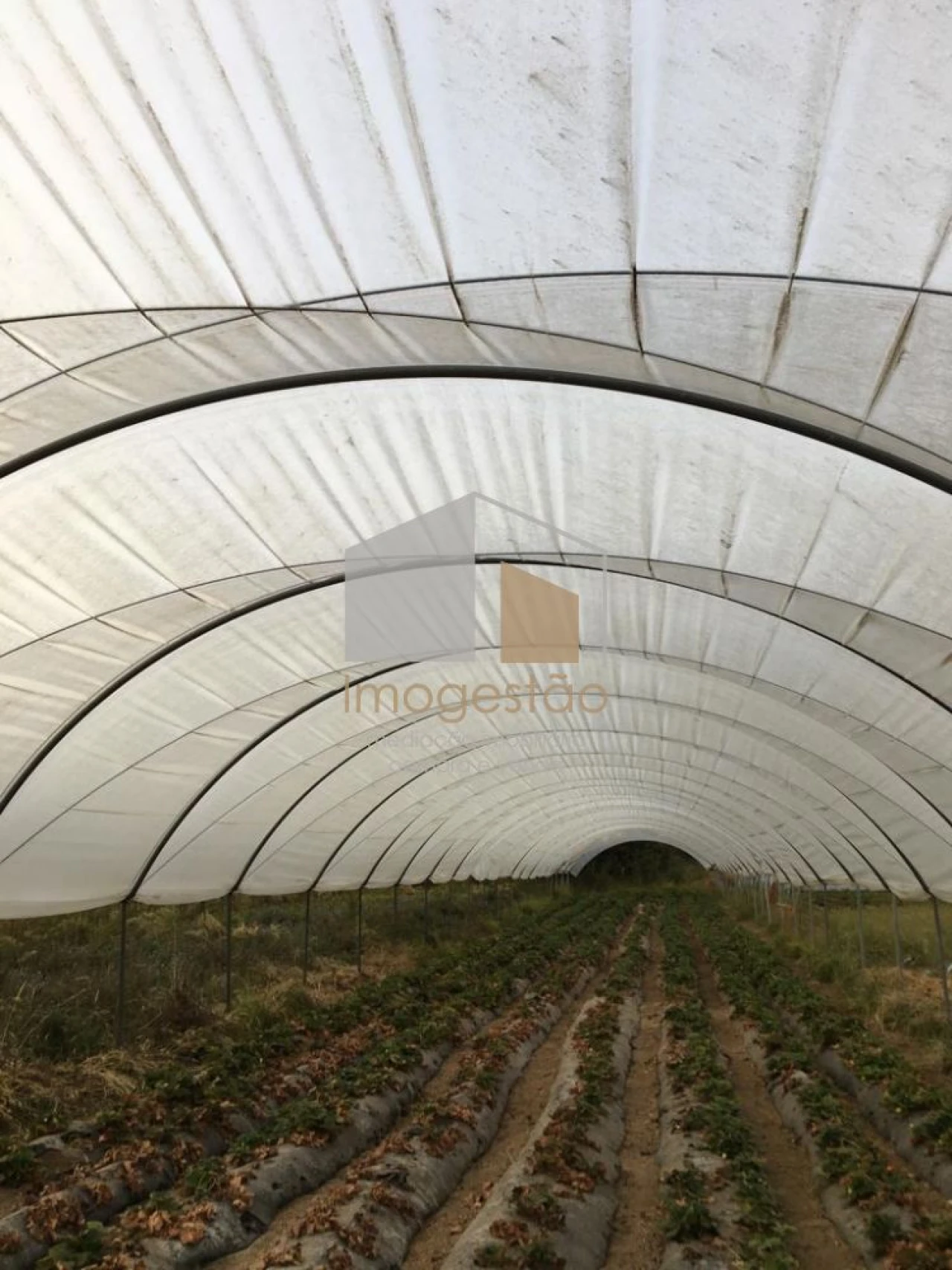 Quinta T0 para Venda em Cerdal Foto 14