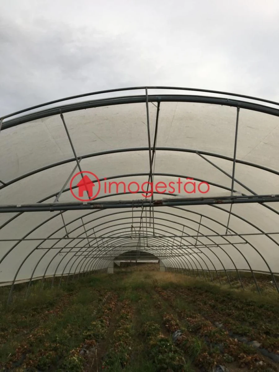 Quinta T0 para Venda em Cerdal Foto 7