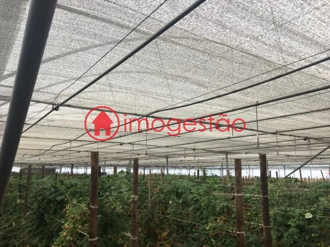 Quinta T0 para Venda em Cerdal Foto 18