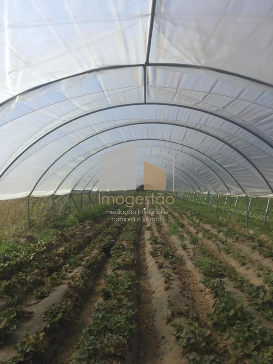 Quinta T0 para Venda em Cerdal Foto 12