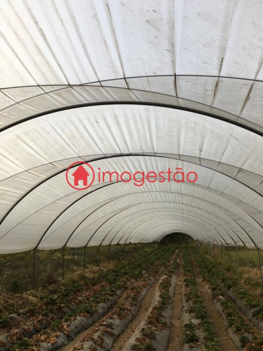 Quinta T0 para Venda em Cerdal Foto 5