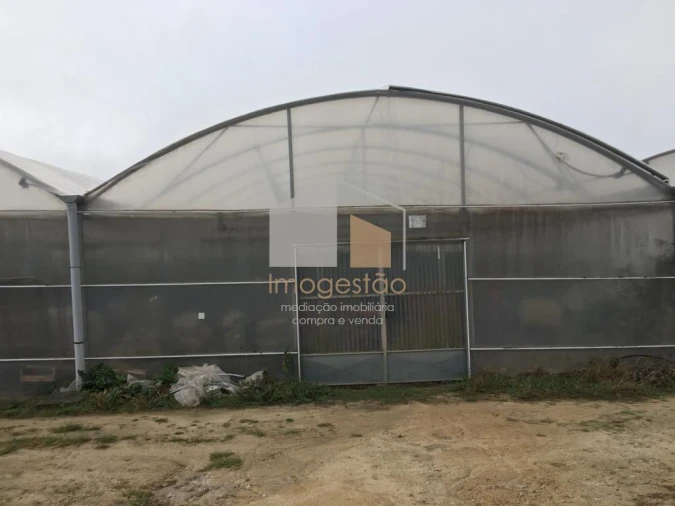 Quinta T0 para Venda em Cerdal