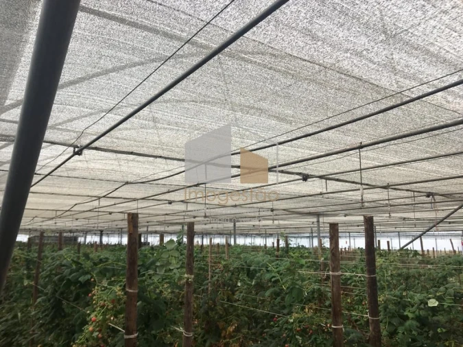 Quinta T0 para Venda em Cerdal Foto 15