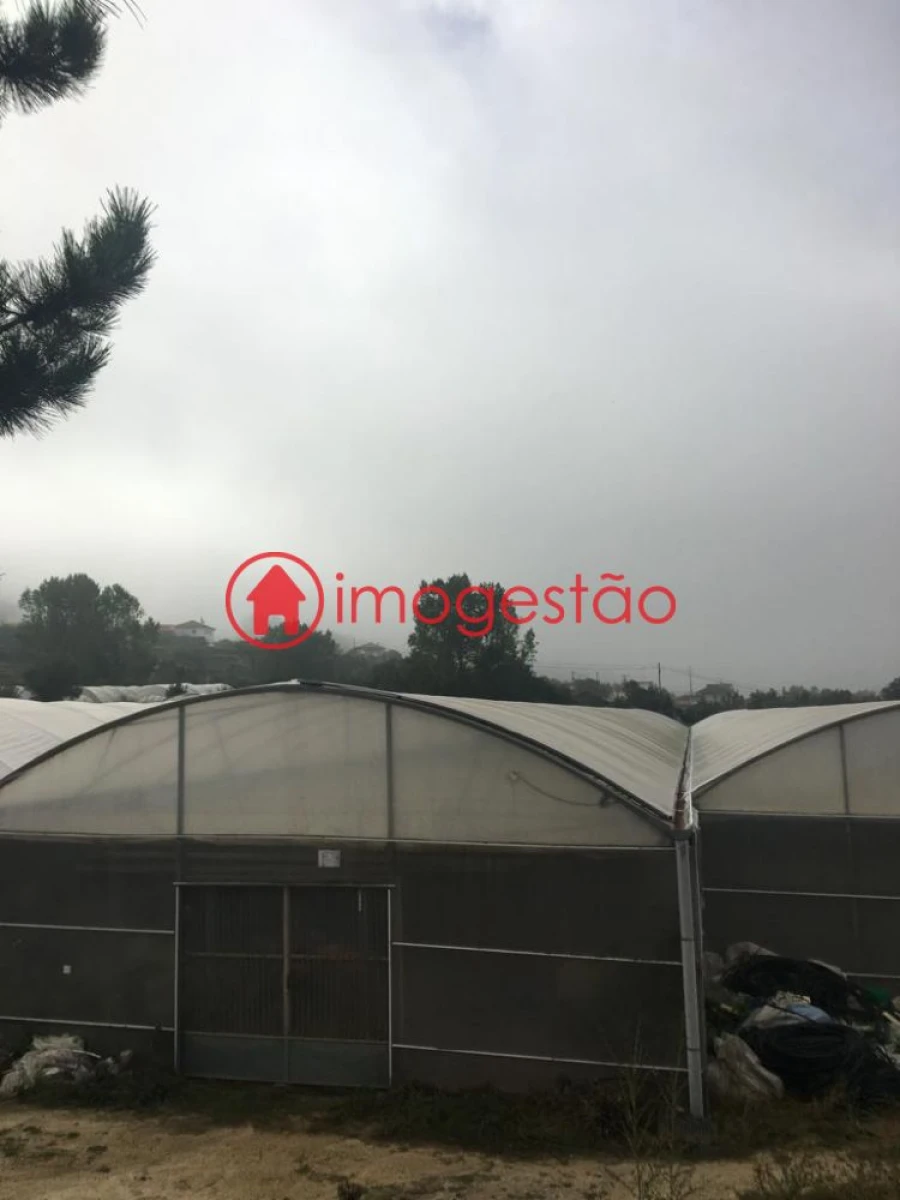 Quinta T0 para Venda em Cerdal Foto 9