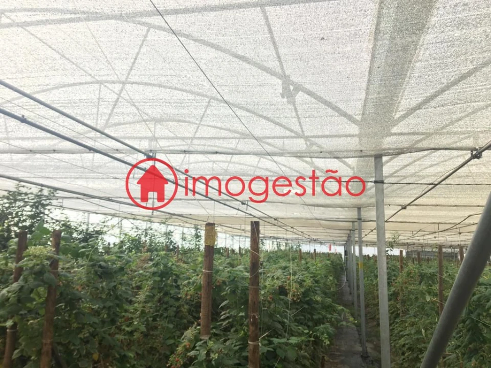 Quinta T0 para Venda em Cerdal Foto 16