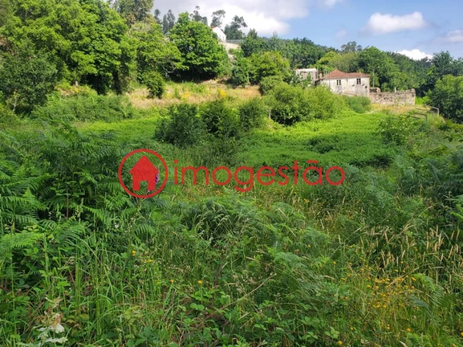 Terreno para Venda em Vila Nova de Cerveira e Lovelhe Foto 8