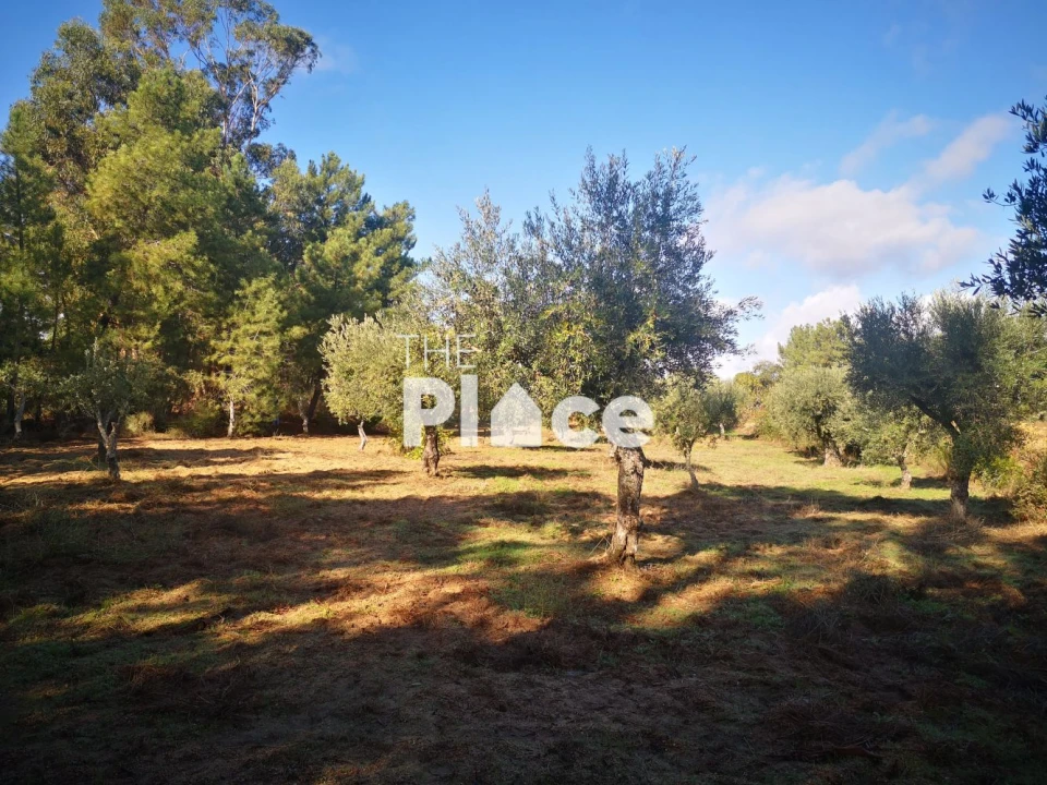 Terreno para Venda em Castelo Branco Foto 1