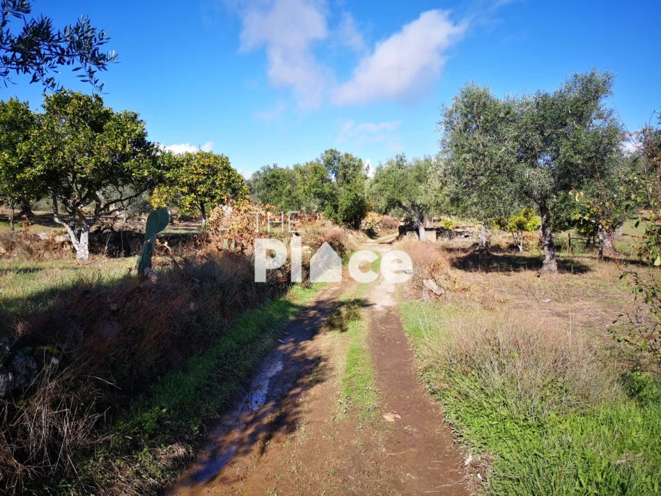 Terreno para Venda em Castelo Branco Foto 10