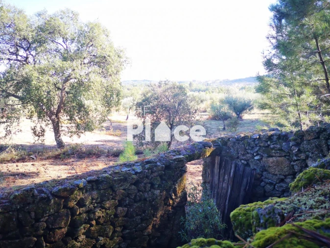 Terreno para Venda em Castelo Branco Foto 7
