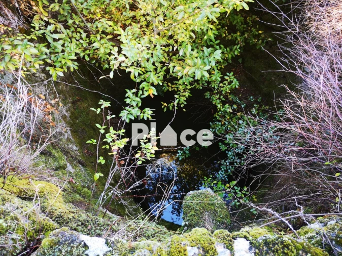 Terreno para Venda em Castelo Branco Foto 6