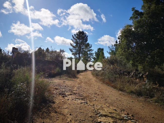 Terreno para Venda em Castelo Branco Foto 12