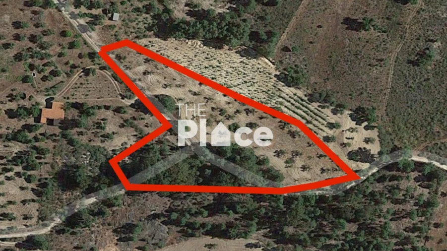 Terreno para Venda em Castelo Branco Foto 13