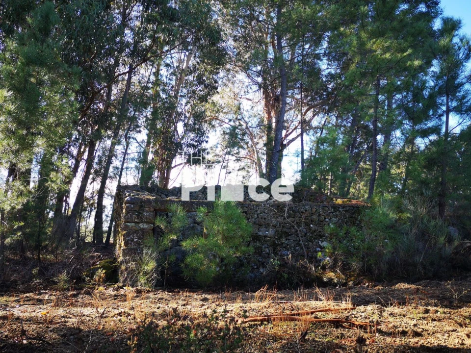 Terreno para Venda em Castelo Branco Foto 3