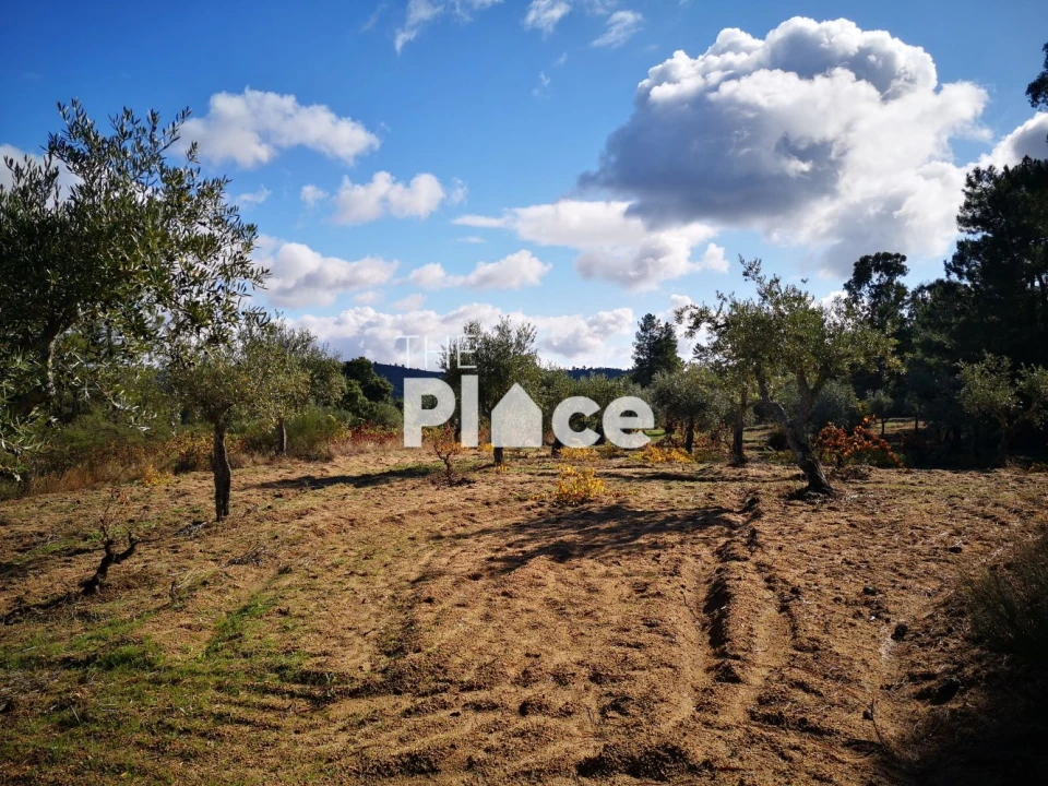 Terreno para Venda em Castelo Branco Foto 4