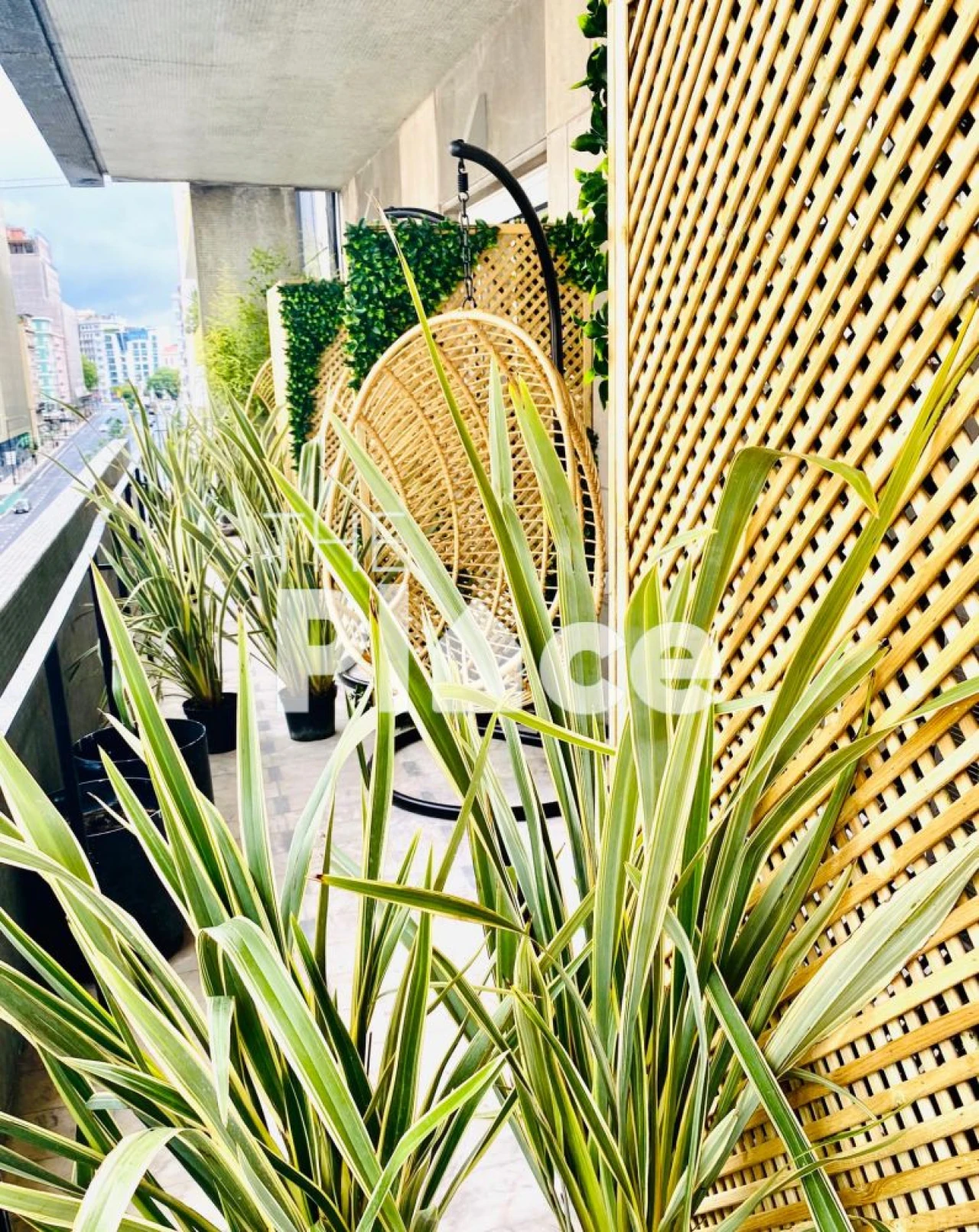 Apartamento T9 para Venda em Santo António Foto 28