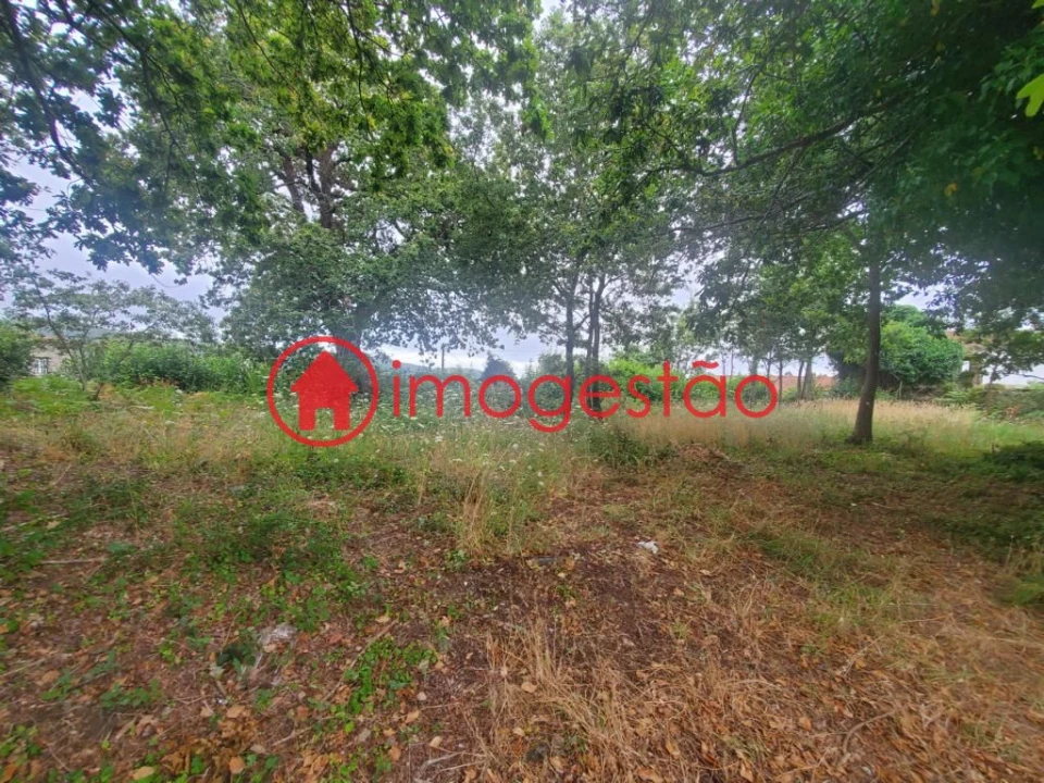 Quinta T0 para Venda em Loivo Foto 14