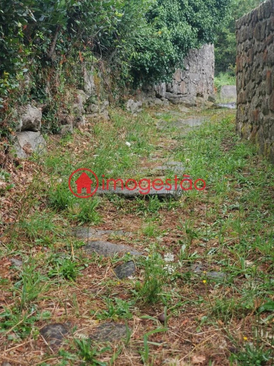 Quinta T0 para Venda em Loivo Foto 12