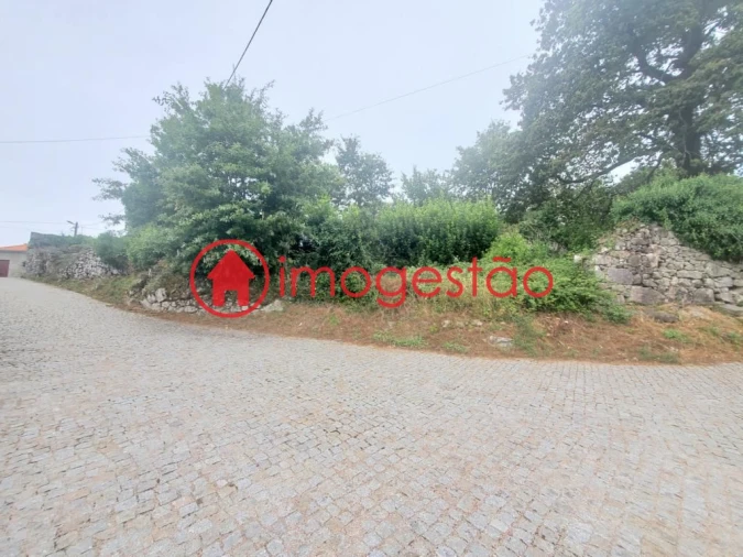 Quinta T0 para Venda em Loivo Foto 8