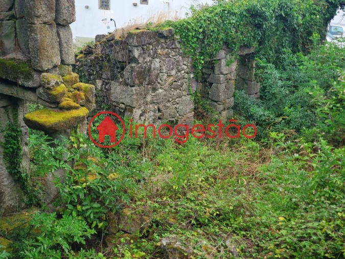 Quinta T0 para Venda em Loivo Foto 19