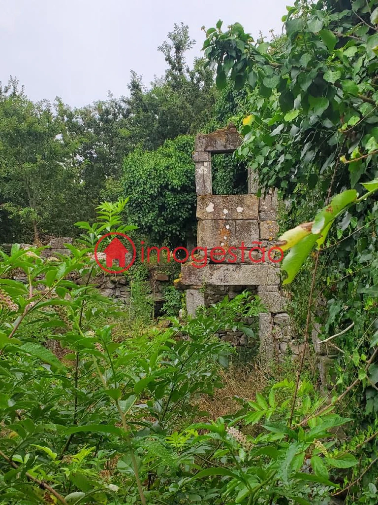 Quinta T0 para Venda em Loivo Foto 4