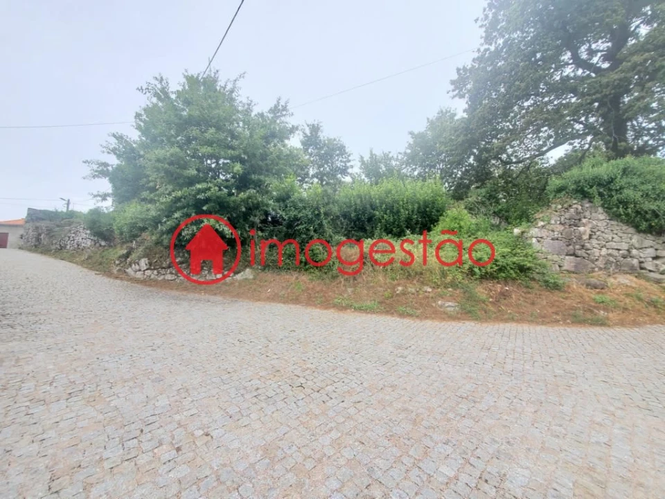 Quinta T0 para Venda em Loivo Foto 8