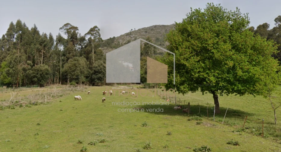 Terreno para Venda em Caminha (Matriz) e Vilarelho Foto 3