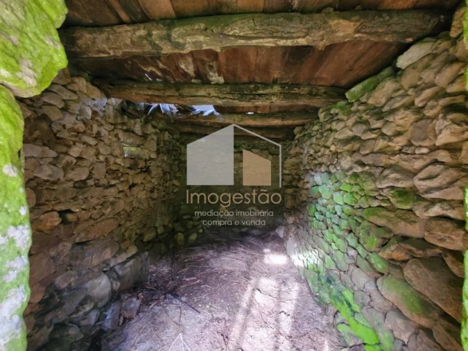 Quinta T3 para Venda em Sapardos Foto 30