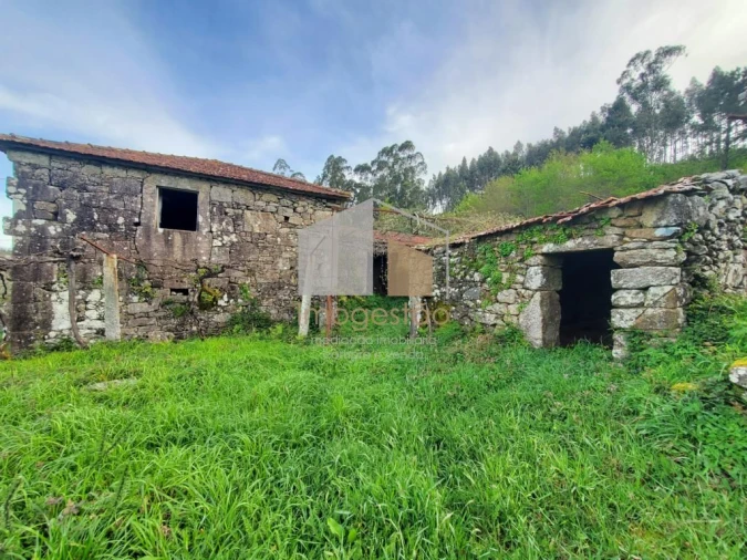 Quinta T3 para Venda em Sapardos Foto 13