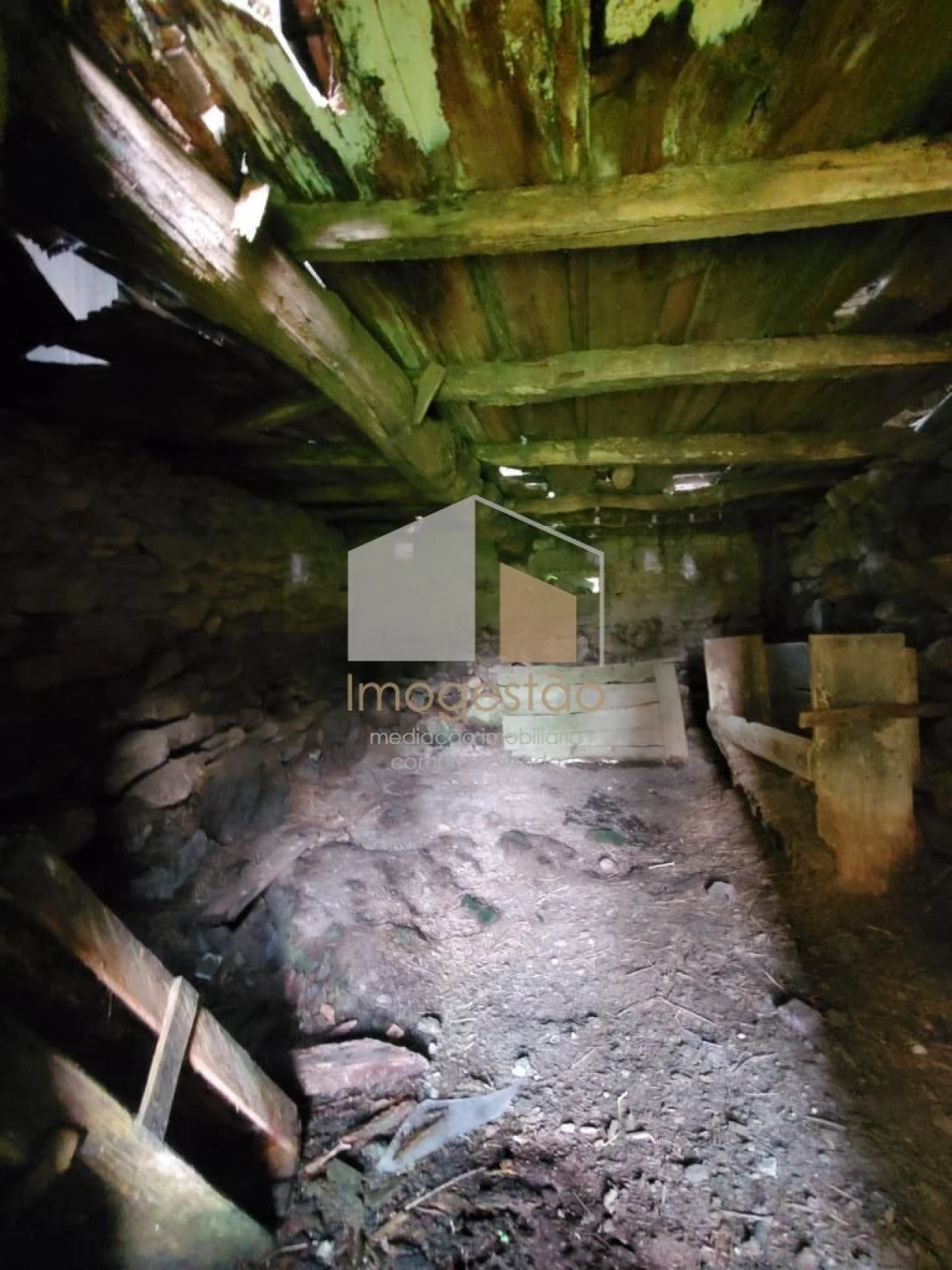 Quinta T3 para Venda em Sapardos Foto 29