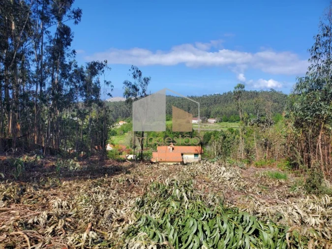 Terreno para Venda em Sopo Foto 16