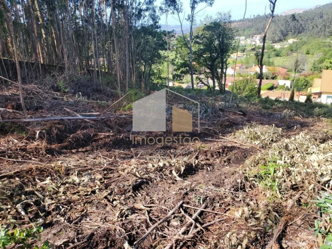 Terreno para Venda em Sopo Foto 20