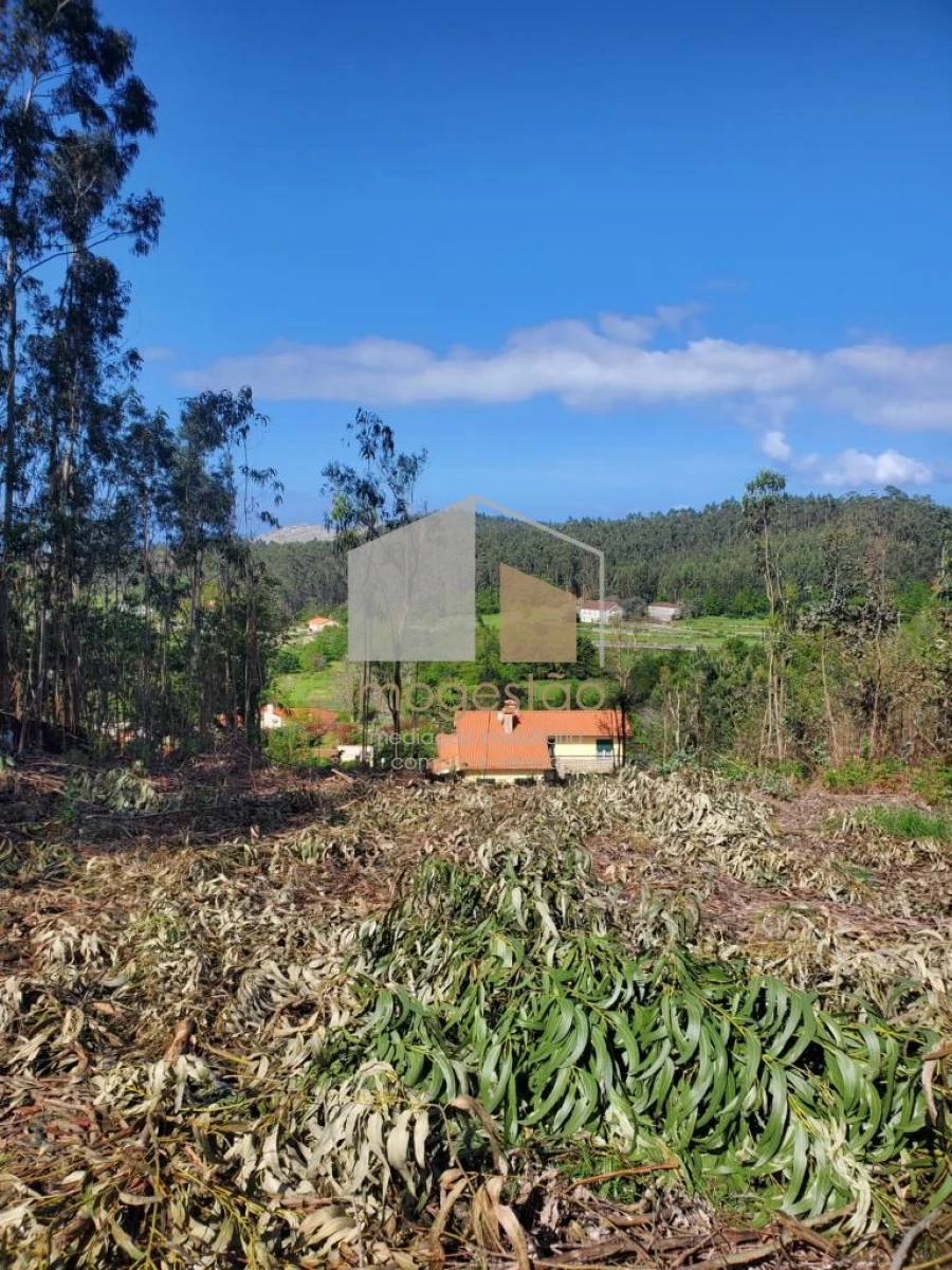 Terreno para Venda em Sopo Foto 6