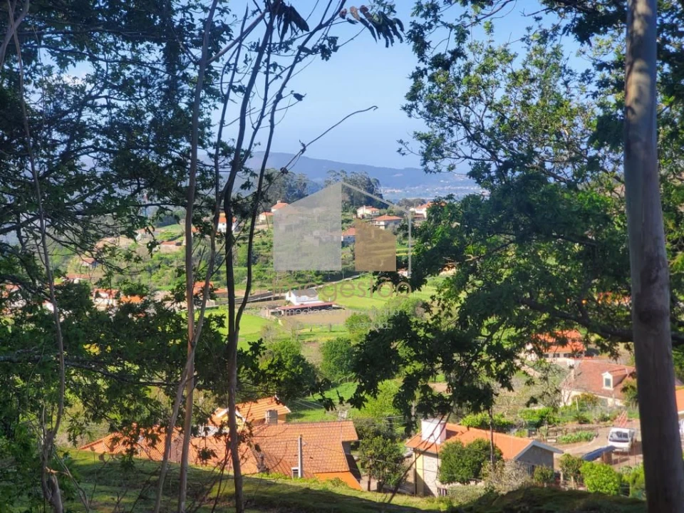 Terreno para Venda em Sopo Foto 7