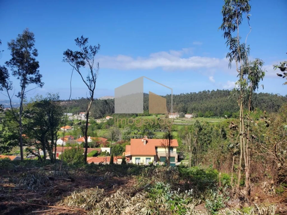 Terreno para Venda em Sopo Foto 18