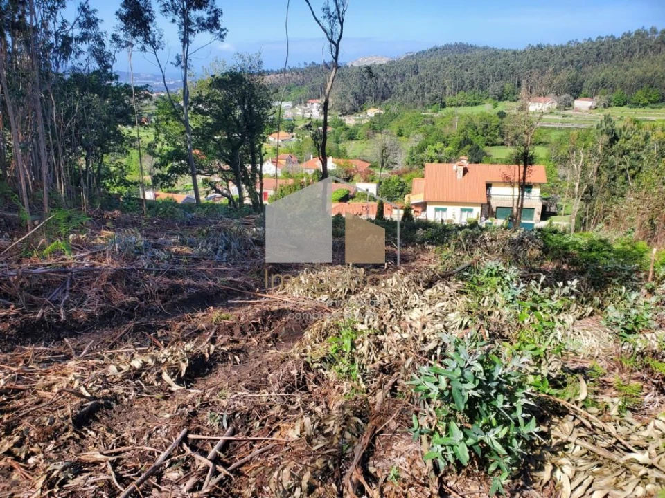 Terreno para Venda em Sopo Foto 19