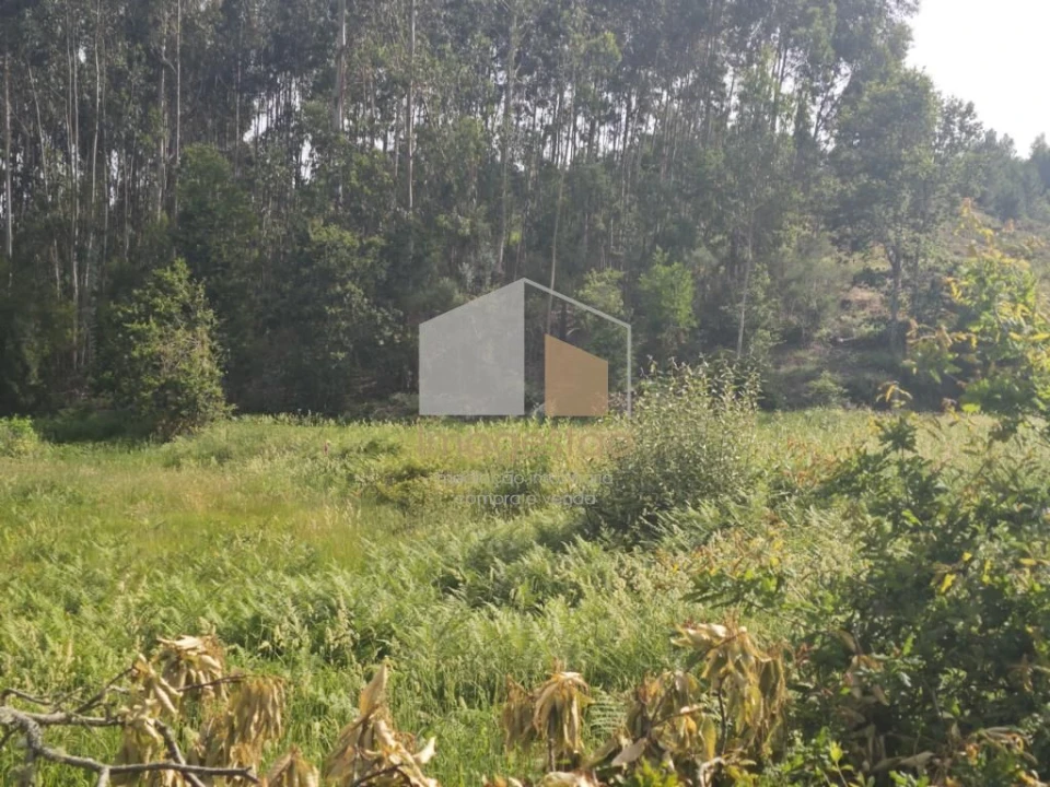 Terreno para Venda em Sapardos Foto 13