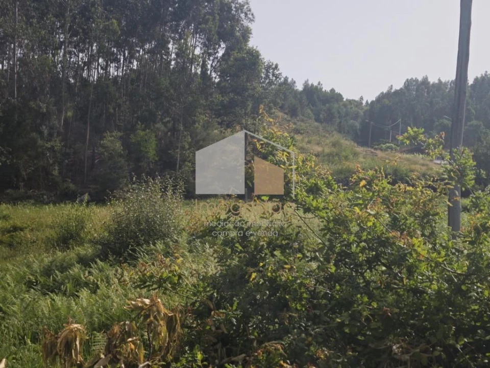 Terreno para Venda em Sapardos Foto 15