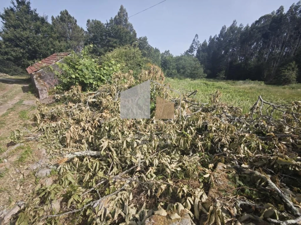 Terreno para Venda em Sapardos Foto 7