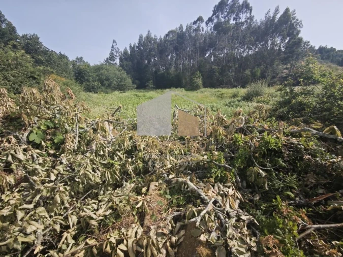 Terreno para Venda em Sapardos Foto 5